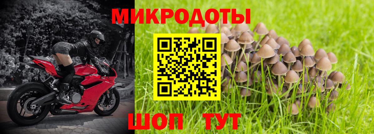 Галлюциногенные грибы мицелий Усть-Кут