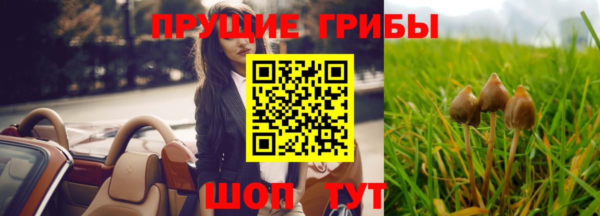 Галлюциногенные грибы Psilocybe  Галлюциногенные грибы Cubensis  Вход с VPN  Усть-Кут 